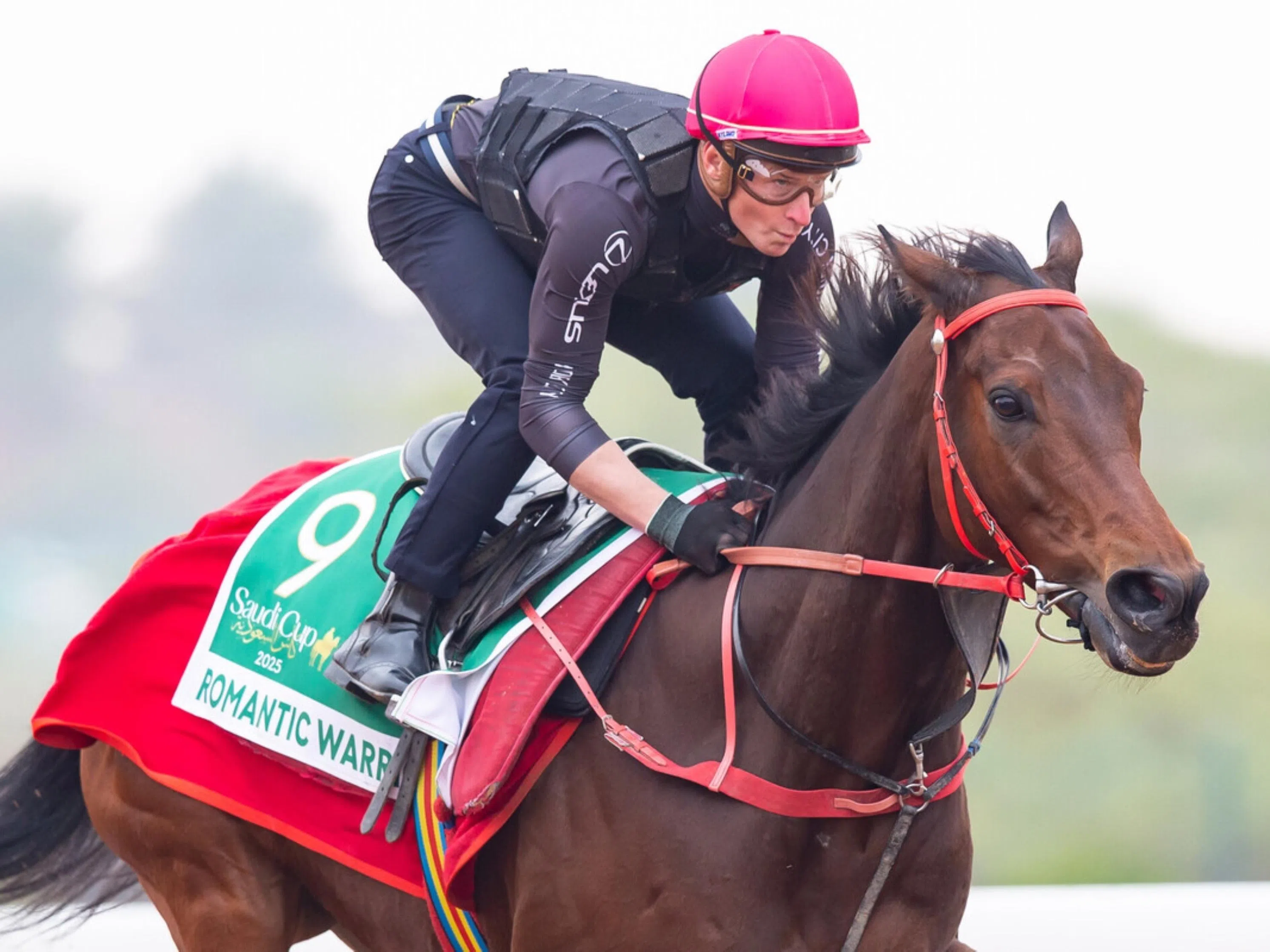 HK's Romantic Warrior in no. 3